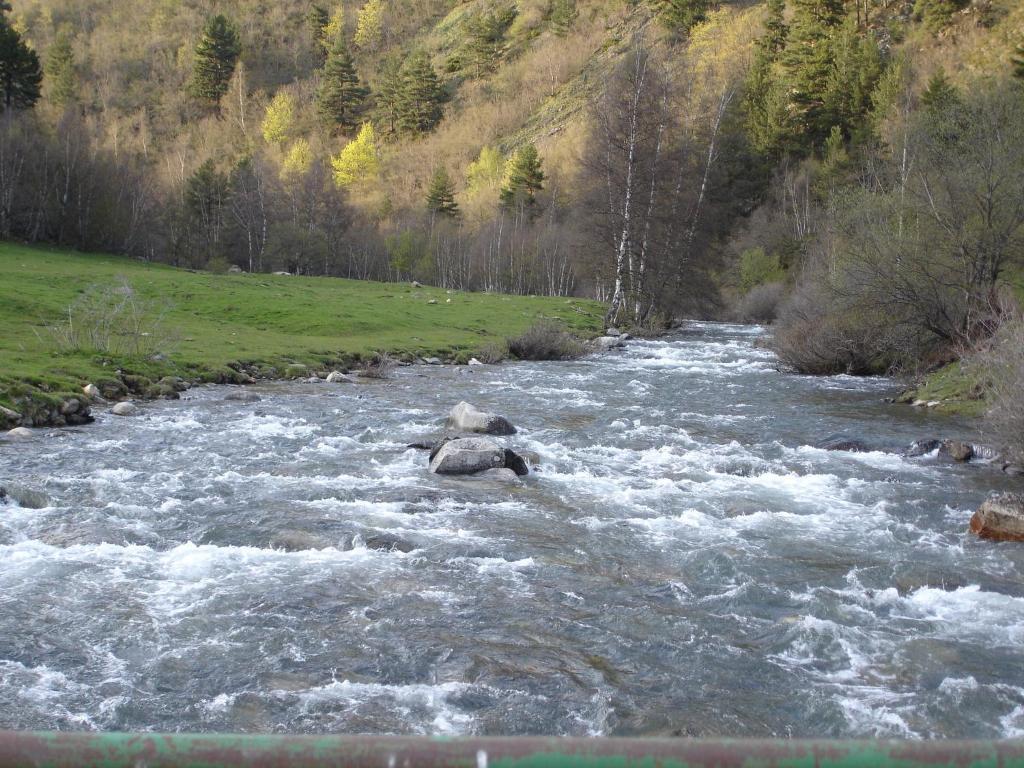 Apartment Wifi Baqueira & Aigueestortes Con Jardin Privado Esterri D'Aneu