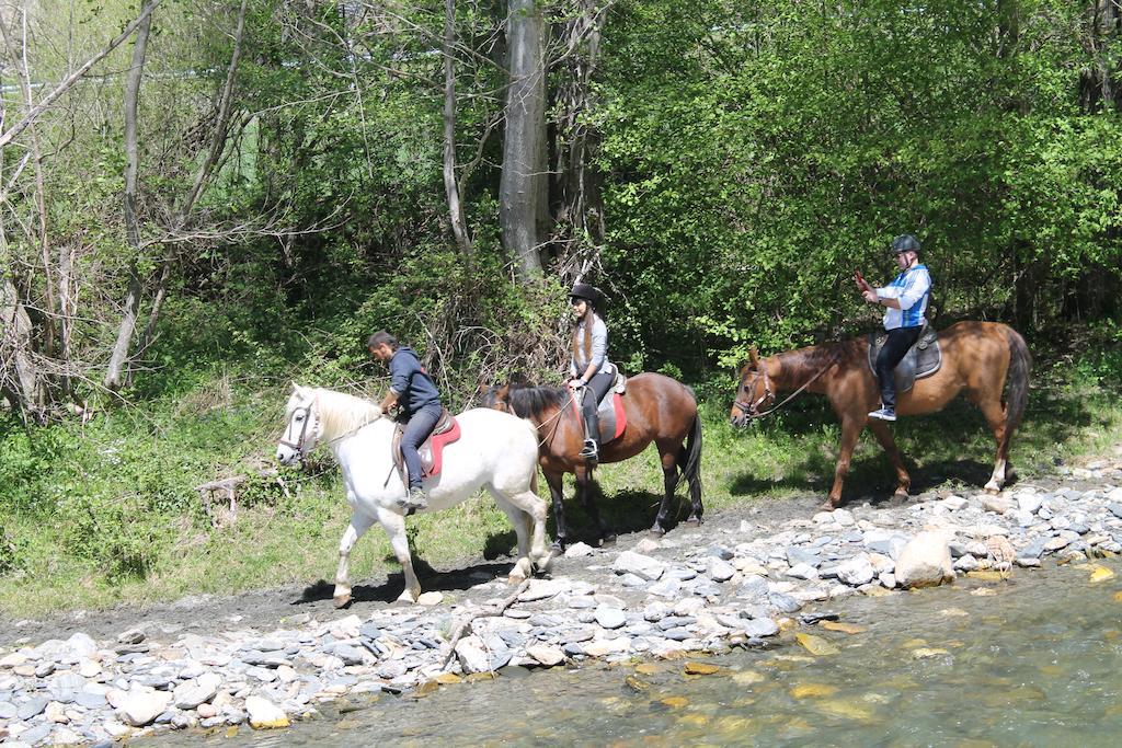 Wifi Baqueira & Aigueestortes Con Jardin Privado Apartment